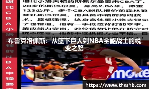 布鲁克洛佩斯：从篮下巨人到NBA全能战士的蜕变之路